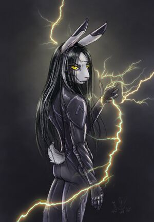 Kimisepo grayson 1.jpg